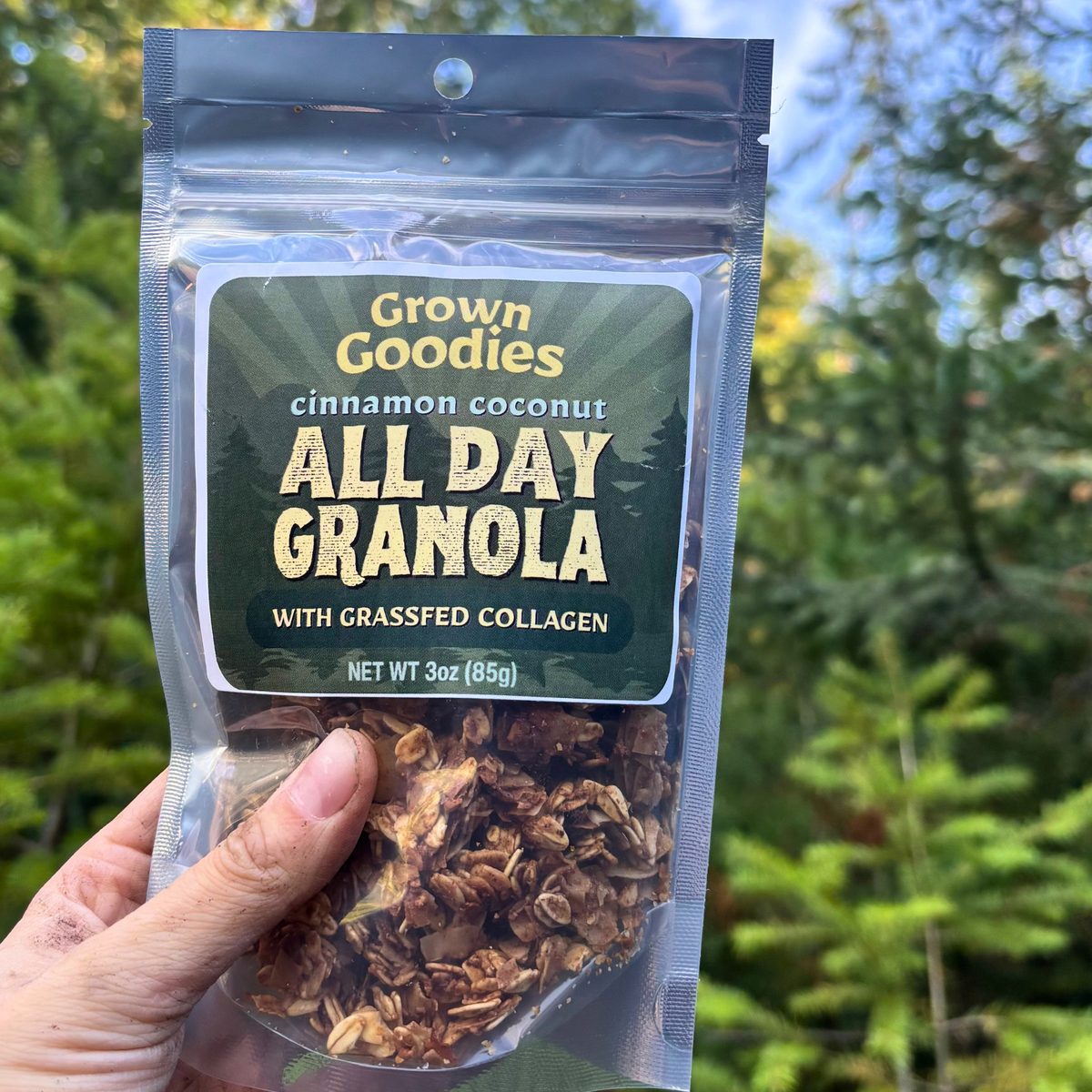 Cinnamon Coconut All Day Granola