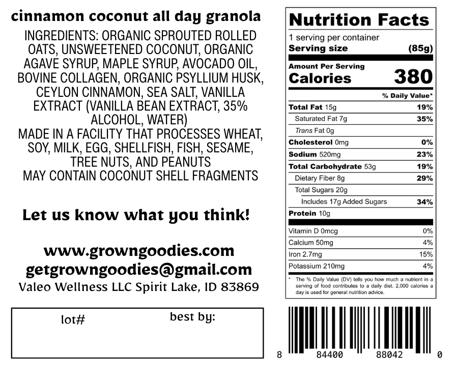 All Day Granola - Cinnamon Coconut