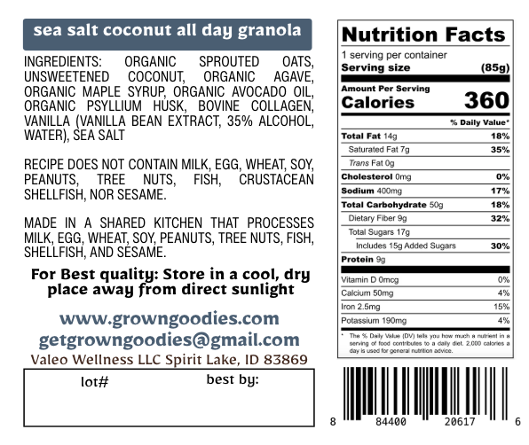 All Day Granola - Sea Salt Coconut
